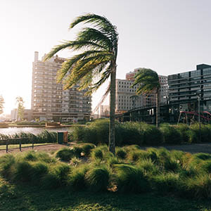 Parque Una.
