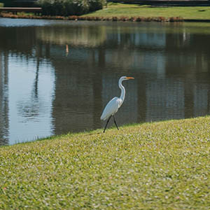 Parque Una.